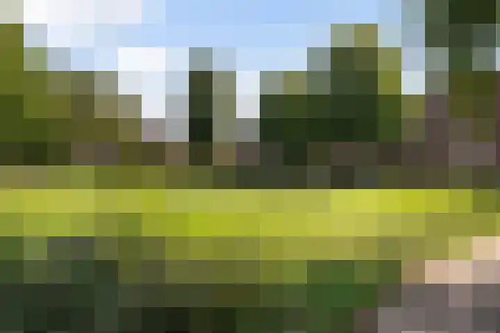 Tak van Poortvlietstraat 29 A Rotterdam thumbnail 69