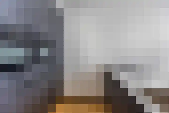 Tak van Poortvlietstraat 35 A Rotterdam thumbnail 13