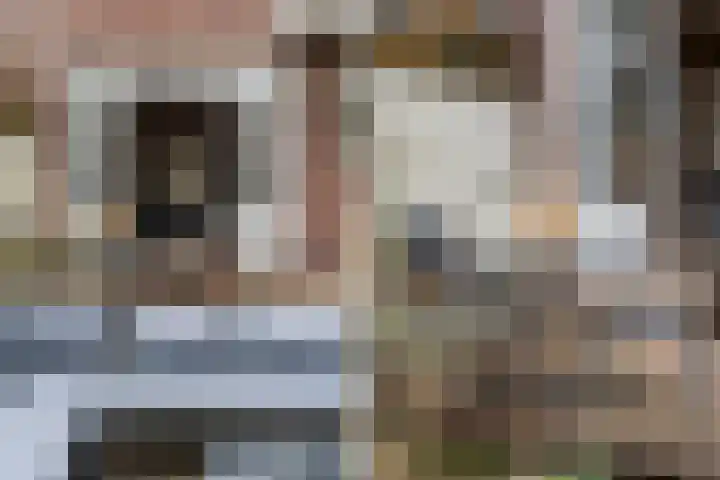Tak van Poortvlietstraat 35 A Rotterdam thumbnail 25
