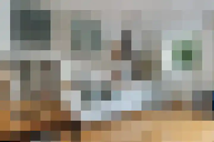Tak van Poortvlietstraat 35 A Rotterdam thumbnail 30