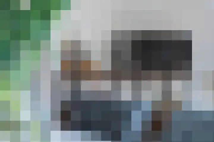 Tak van Poortvlietstraat 35 A Rotterdam thumbnail 32