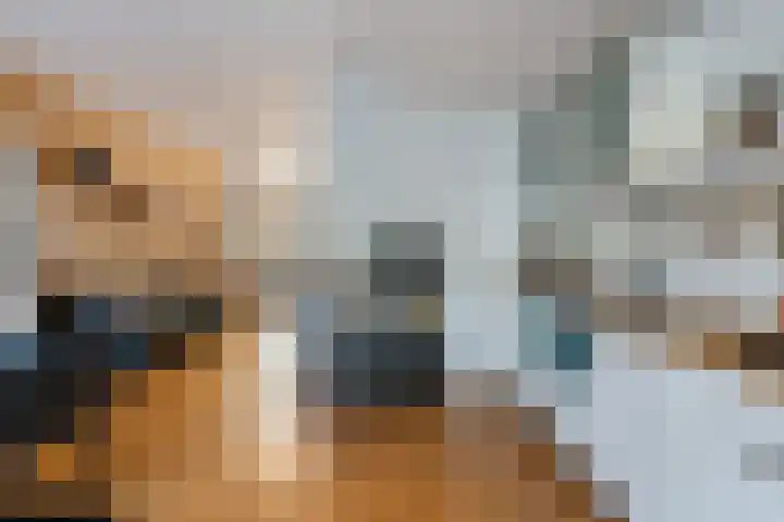 Tak van Poortvlietstraat 35 A Rotterdam thumbnail 34