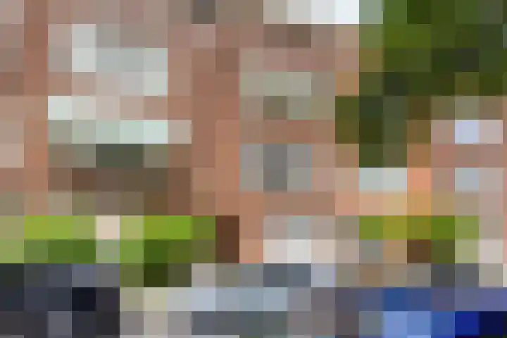 Tak van Poortvlietstraat 35 A Rotterdam thumbnail 4