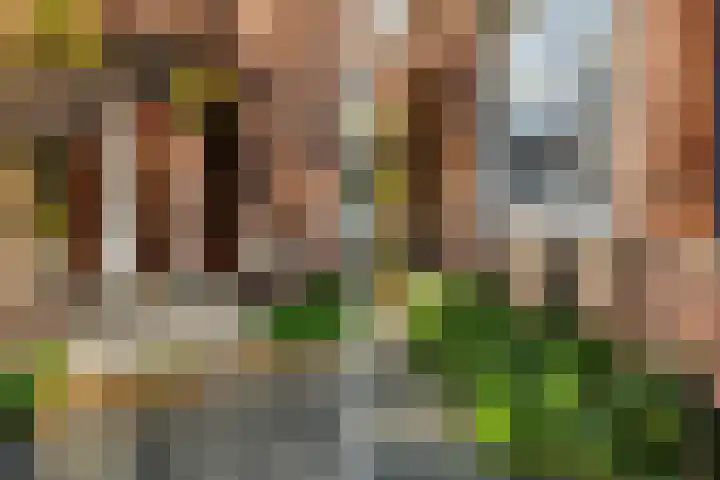 Tak van Poortvlietstraat 35 A Rotterdam thumbnail 51