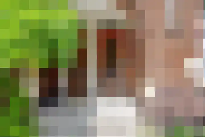 Tak van Poortvlietstraat 35 A Rotterdam thumbnail 7