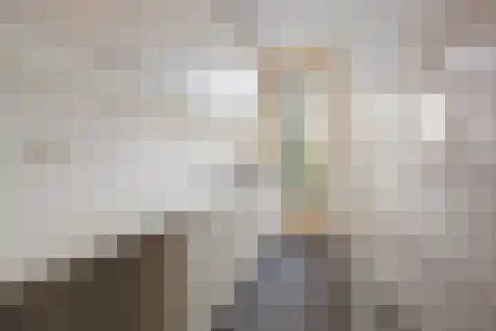 Tak van Poortvlietstraat 39 A Rotterdam thumbnail 13