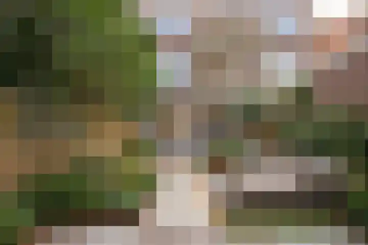 Tak van Poortvlietstraat 39 A Rotterdam thumbnail 5