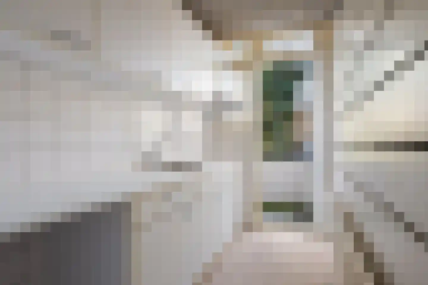 Tak van Poortvlietstraat 39 B 02 Rotterdam thumbnail 12