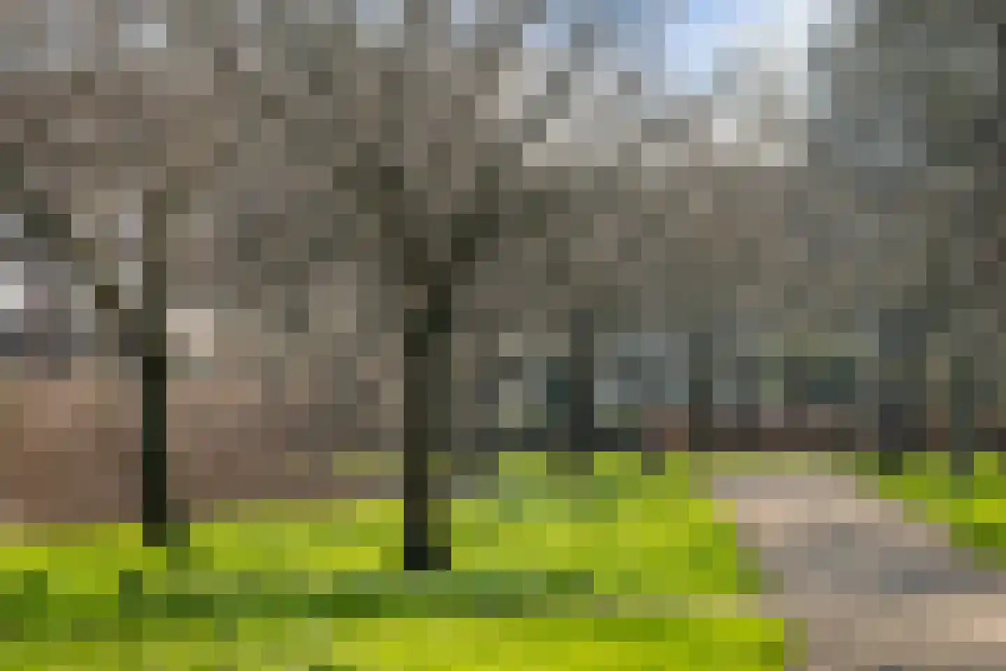 Tak van Poortvlietstraat 39 B 02 Rotterdam thumbnail 24