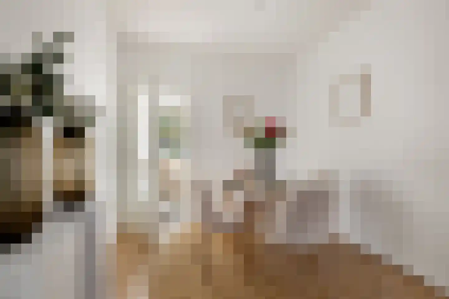Tak van Poortvlietstraat 41 B Rotterdam thumbnail 10