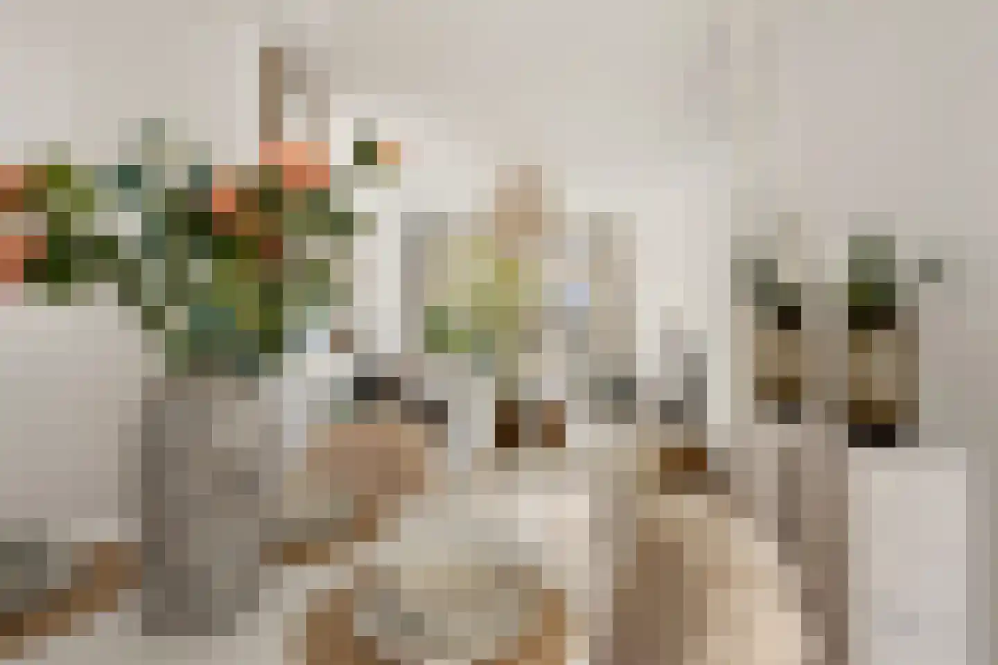 Tak van Poortvlietstraat 41 B Rotterdam thumbnail 11
