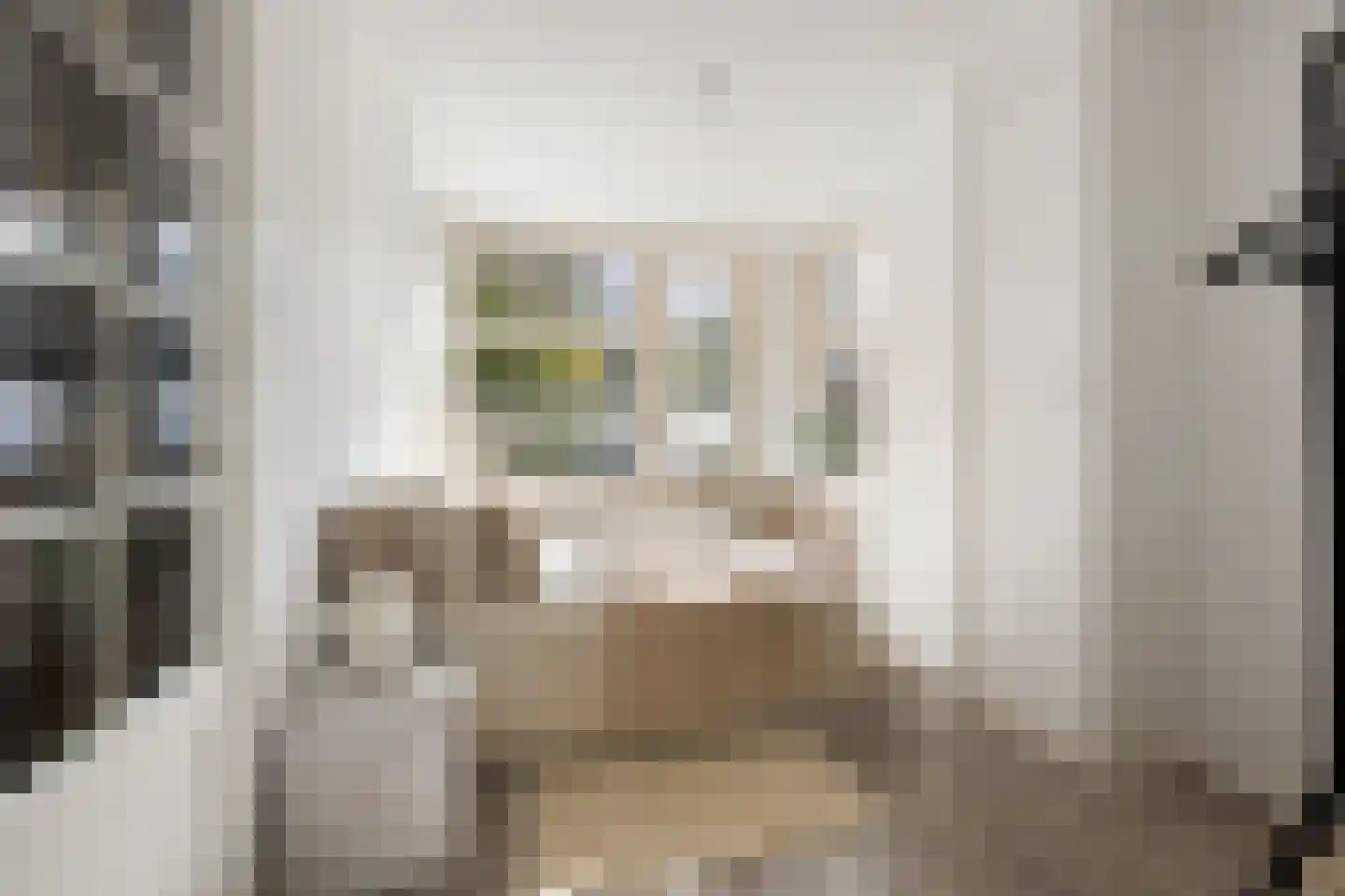 Tak van Poortvlietstraat 41 B Rotterdam thumbnail 13