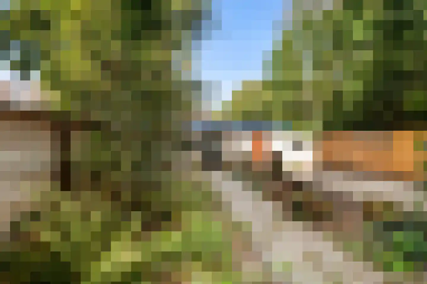 Tak van Poortvlietstraat 41 B Rotterdam thumbnail 16