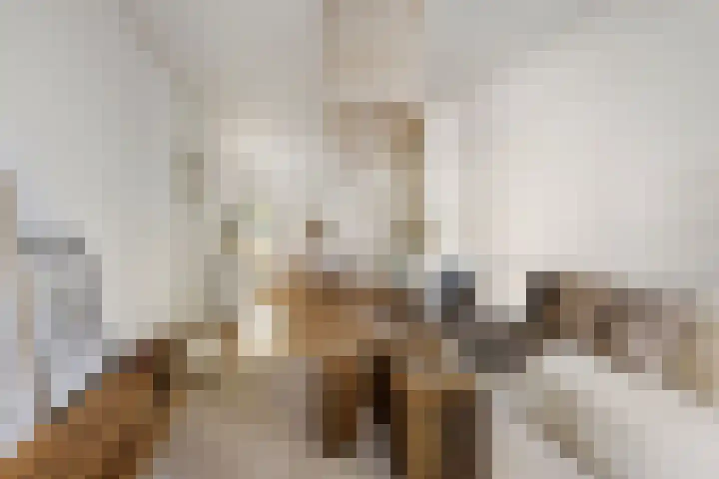 Tak van Poortvlietstraat 41 B Rotterdam thumbnail 4