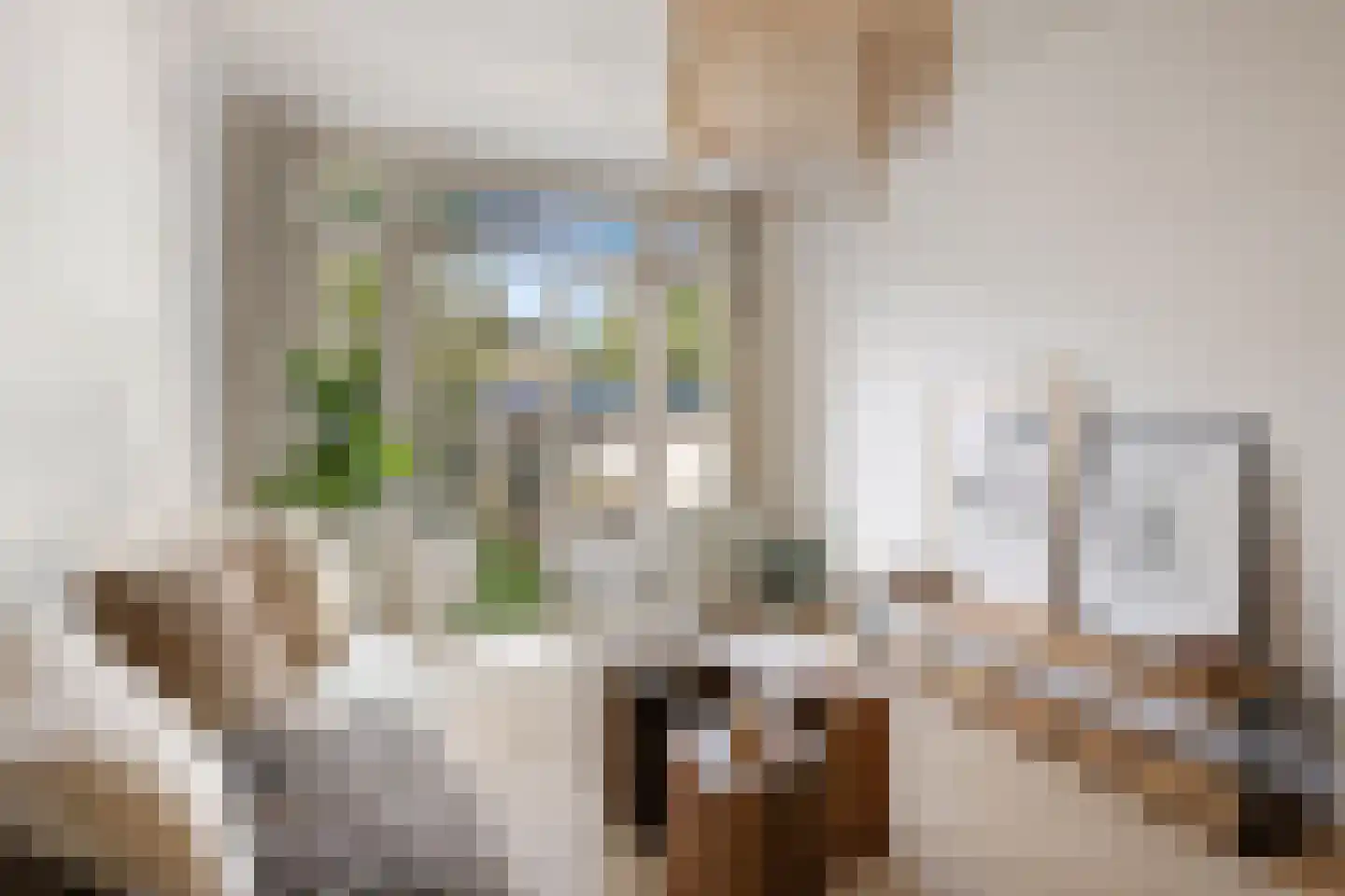 Tak van Poortvlietstraat 41 B Rotterdam thumbnail 7