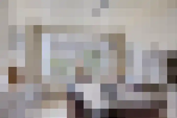Tak van Poortvlietstraat 6 Oss thumbnail 13