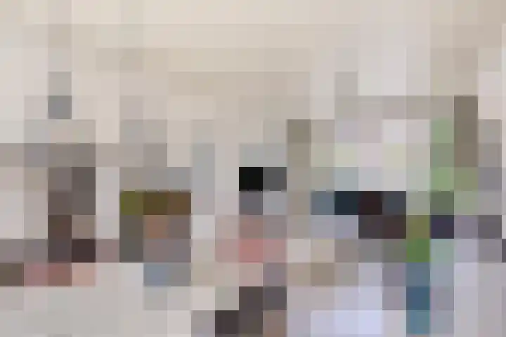 Tak van Poortvlietstraat 6 Oss thumbnail 15