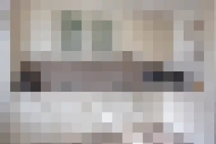 Tak van Poortvlietstraat 6 Oss thumbnail 16