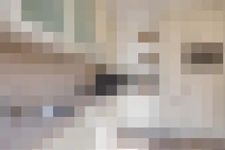 Tak van Poortvlietstraat 6 Oss thumbnail 17