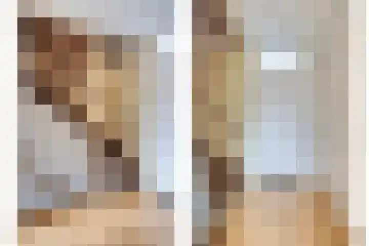 Tak van Poortvlietstraat 6 Oss thumbnail 18