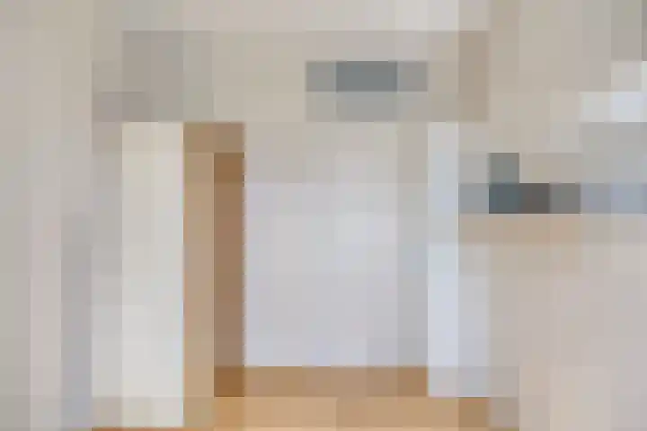 Tak van Poortvlietstraat 6 Oss thumbnail 24
