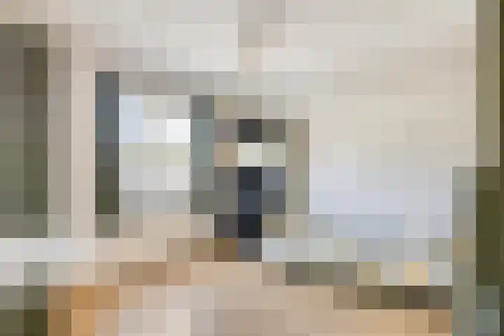Tak van Poortvlietstraat 6 Oss thumbnail 25