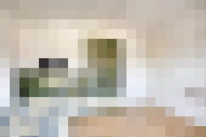 Tak van Poortvlietstraat 6 Oss thumbnail 26