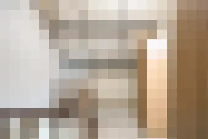 Tak van Poortvlietstraat 6 Oss thumbnail 28