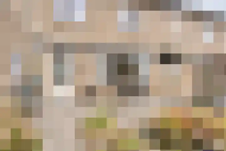 Tak van Poortvlietstraat 6 Oss thumbnail 33