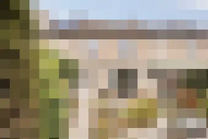 Tak van Poortvlietstraat 6 Oss thumbnail 34