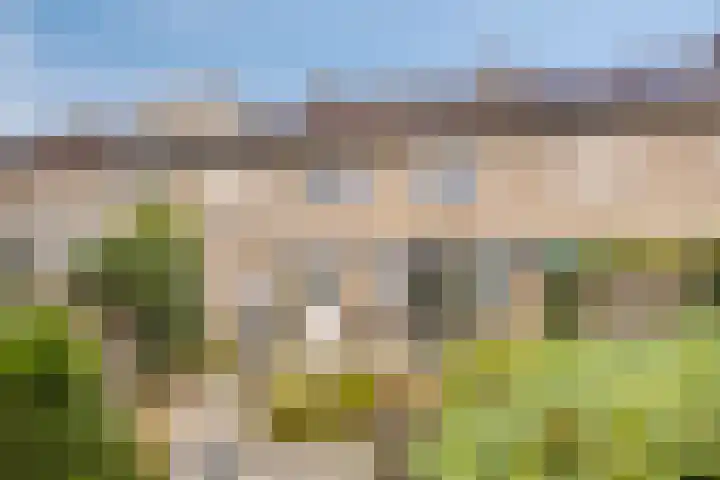 Tak van Poortvlietstraat 6 Oss thumbnail 35