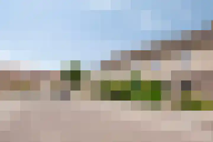 Tak van Poortvlietstraat 6 Oss thumbnail 36