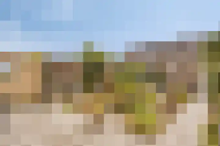Tak van Poortvlietstraat 6 Oss thumbnail 4