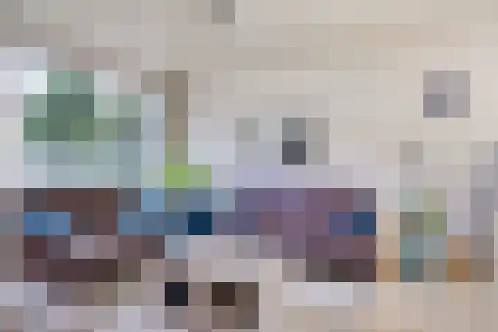 Tak van Poortvlietstraat 6 Oss thumbnail 7