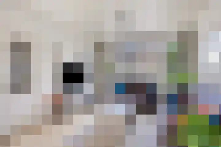 Tak van Poortvlietstraat 6 Oss thumbnail 8