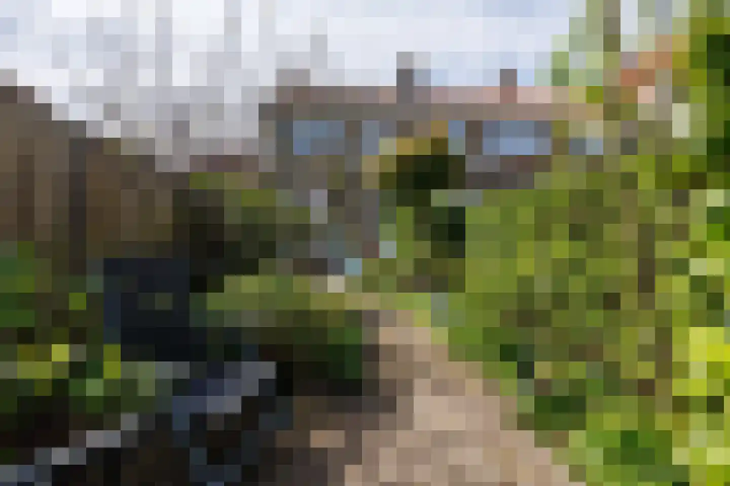 Tak van Poortvlietstraat 8 Delft thumbnail 20
