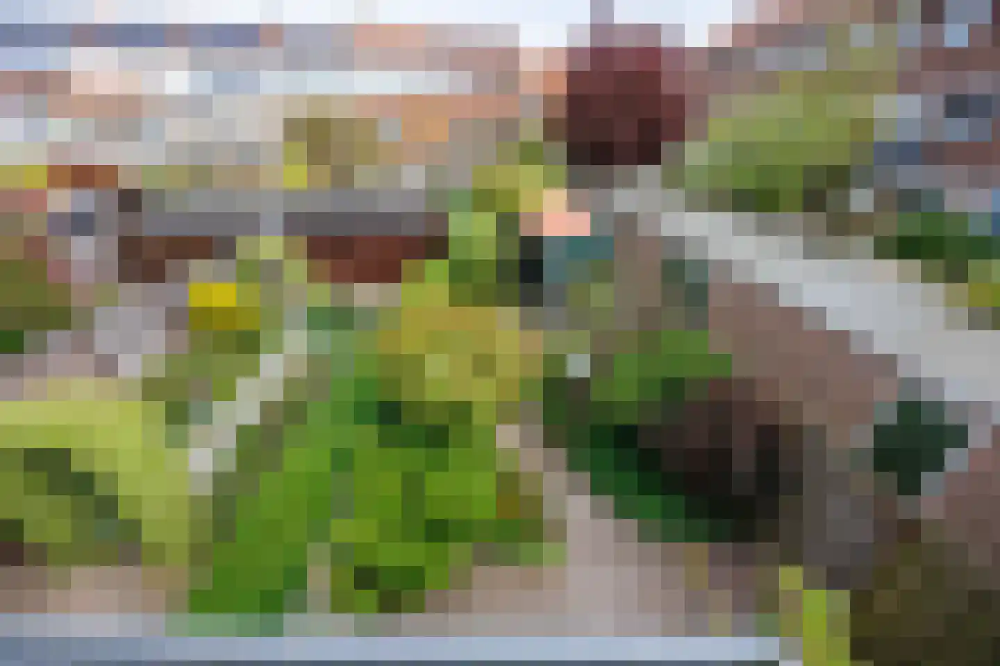 Tak van Poortvlietstraat 8 Delft thumbnail 34