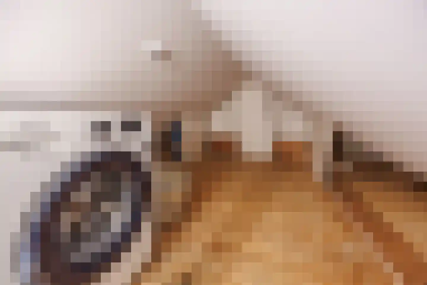Tak van Poortvlietstraat 8 Delft thumbnail 35