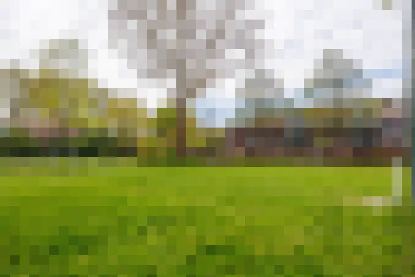 Tak van Poortvlietstraat 8 Delft thumbnail 37
