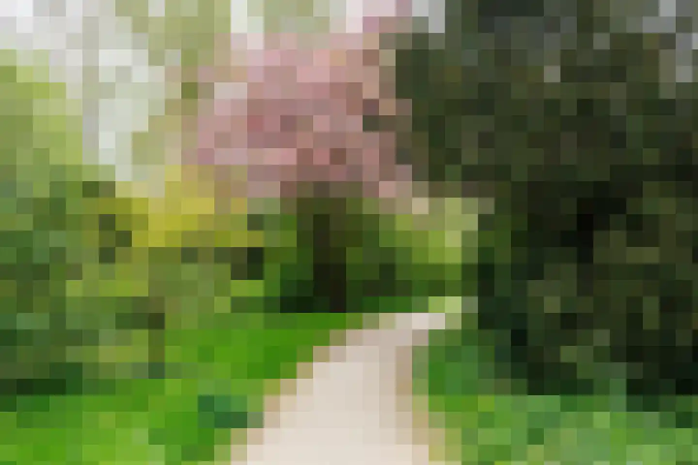 Tak van Poortvlietstraat 8 Delft thumbnail 38