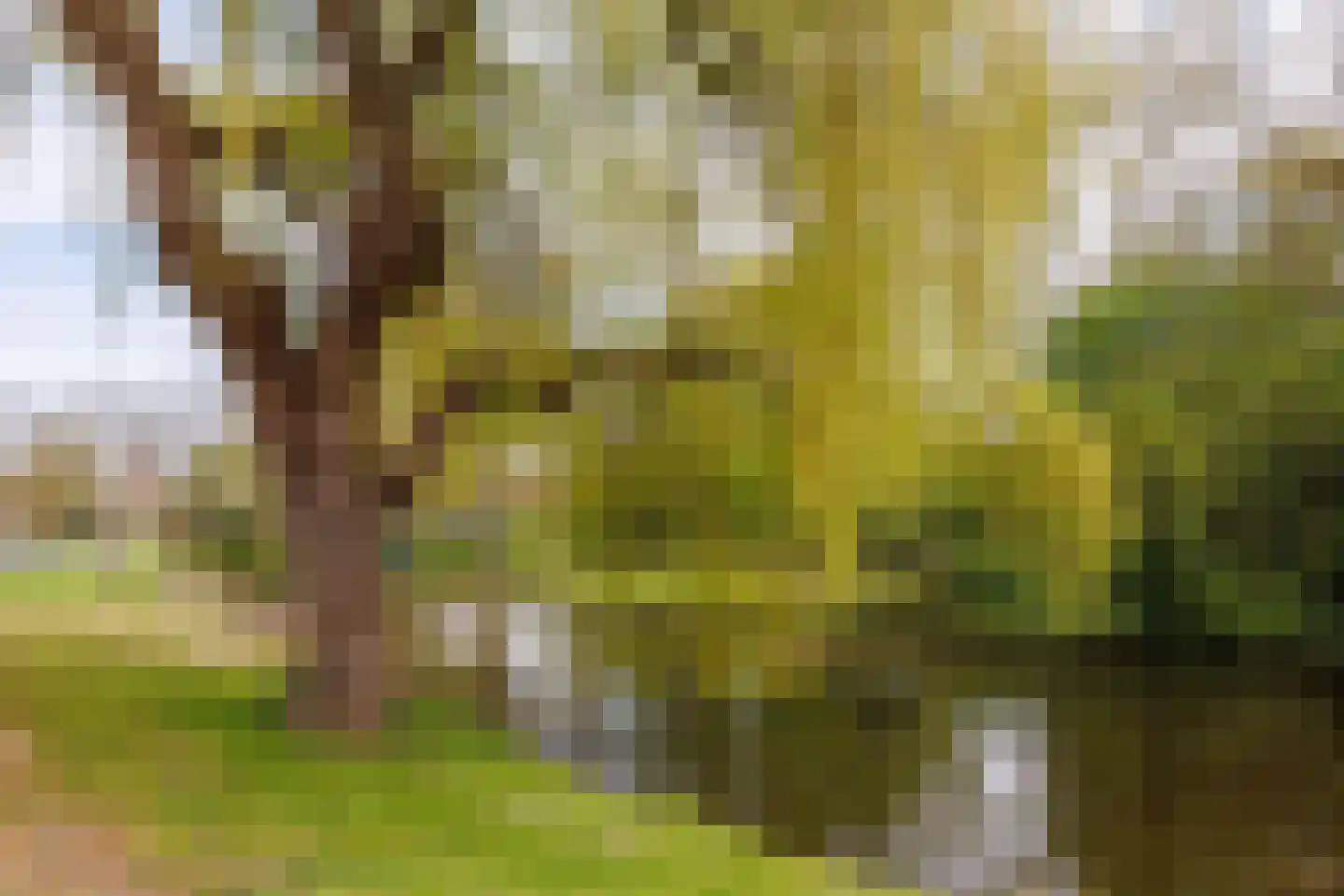 Tak van Poortvlietstraat 8 Delft thumbnail 39
