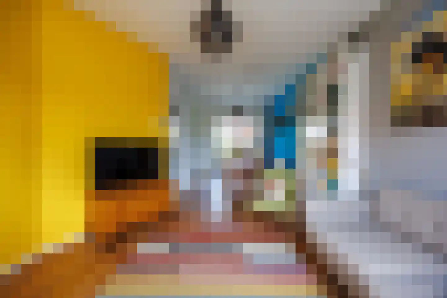 Tak van Poortvlietstraat 8 Delft thumbnail 7