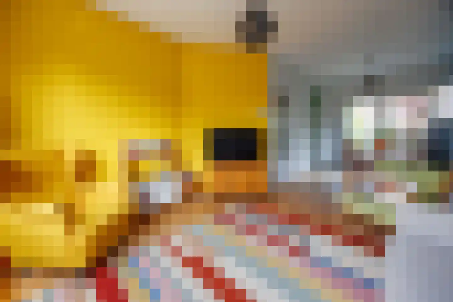 Tak van Poortvlietstraat 8 Delft thumbnail 8
