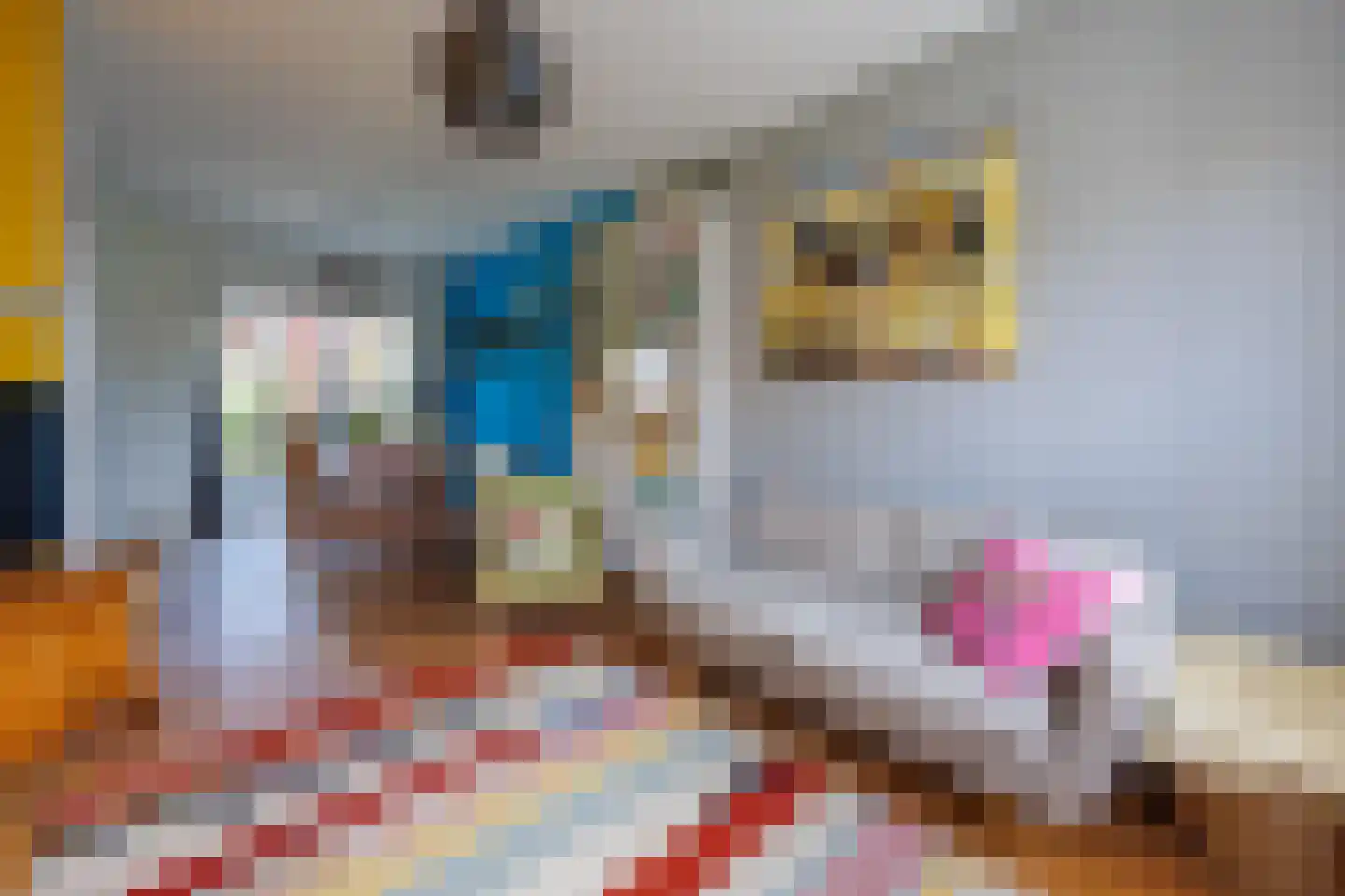 Tak van Poortvlietstraat 8 Delft thumbnail 9