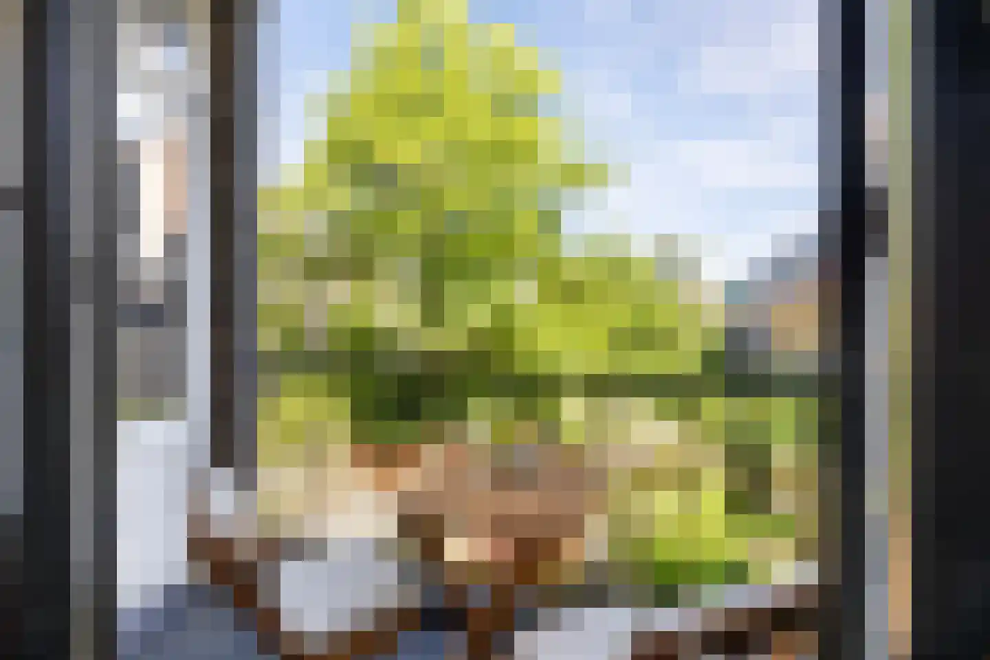 Tak van Poortvlietstraat 9 B 01 Rotterdam thumbnail 18