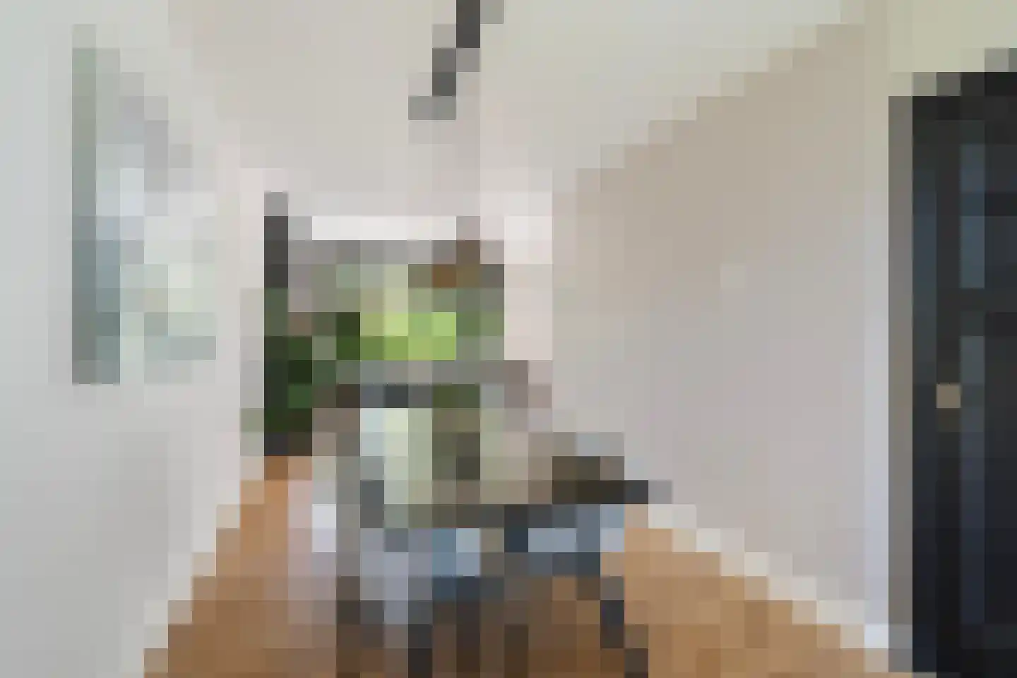 Tak van Poortvlietstraat 9 B 01 Rotterdam thumbnail 22
