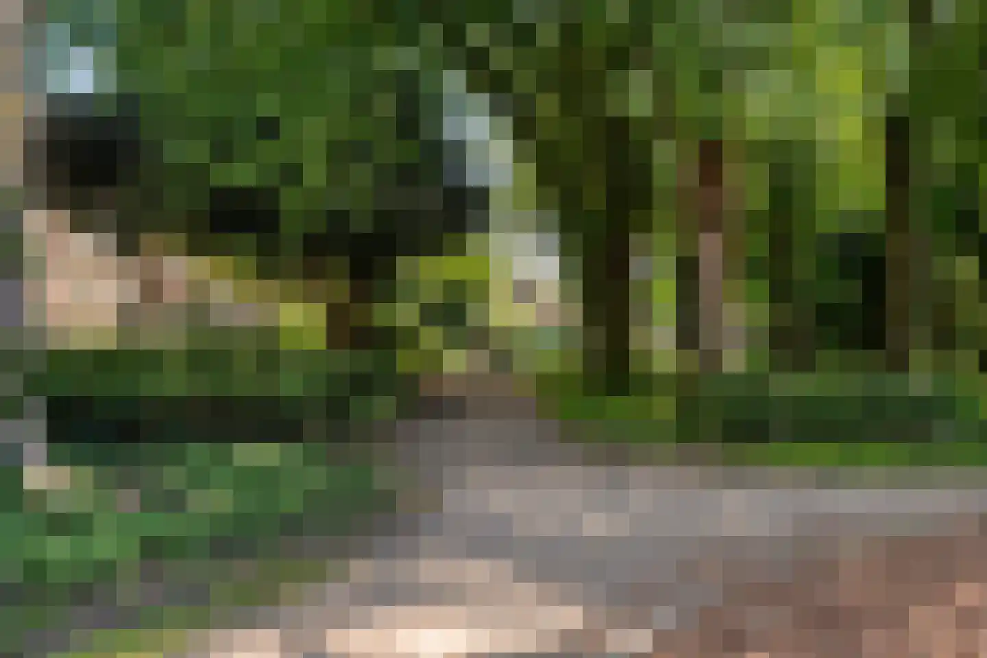 Tak van Poortvlietstraat 9 B 01 Rotterdam thumbnail 35