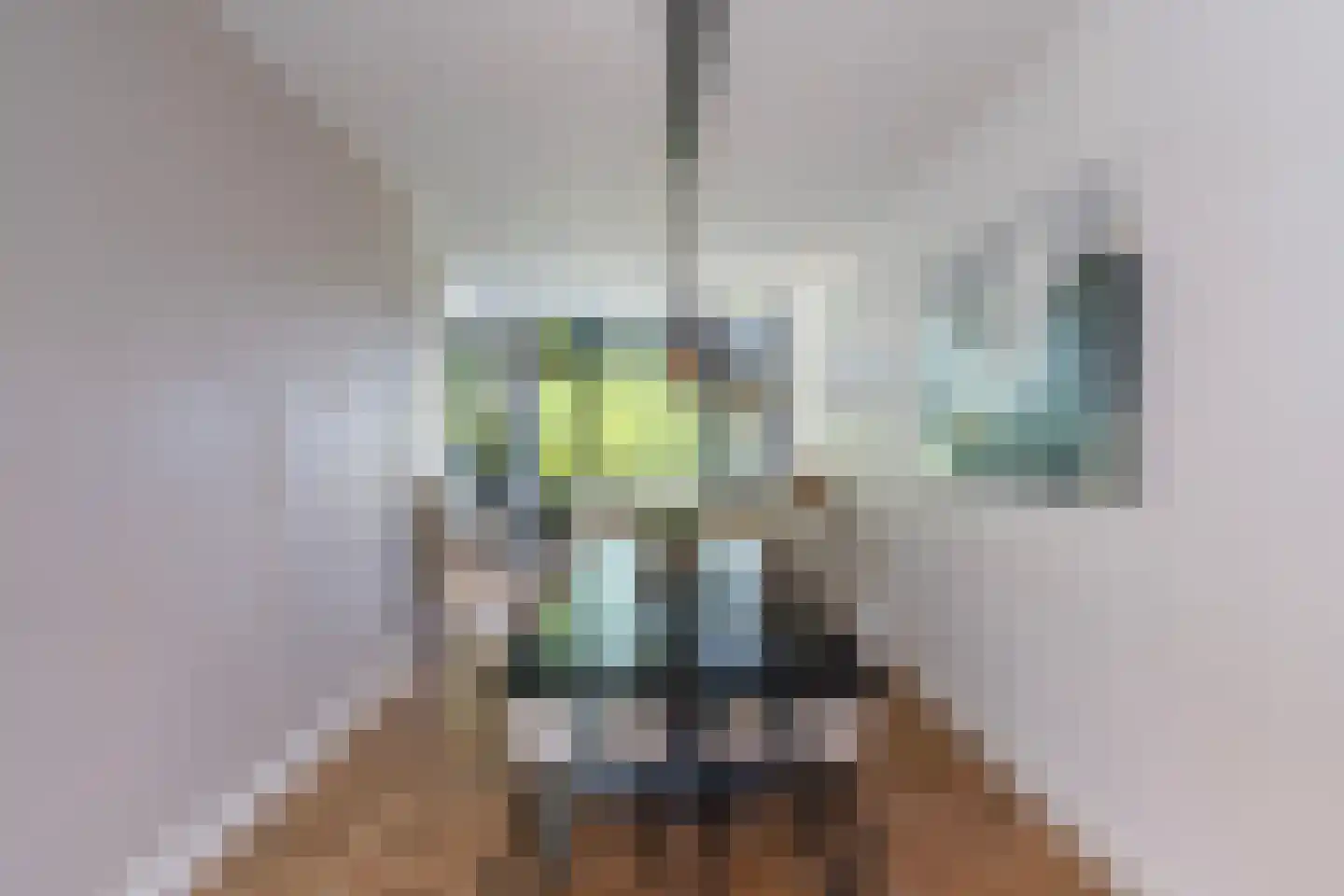 Tak van Poortvlietstraat 9 B 01 Rotterdam thumbnail 9