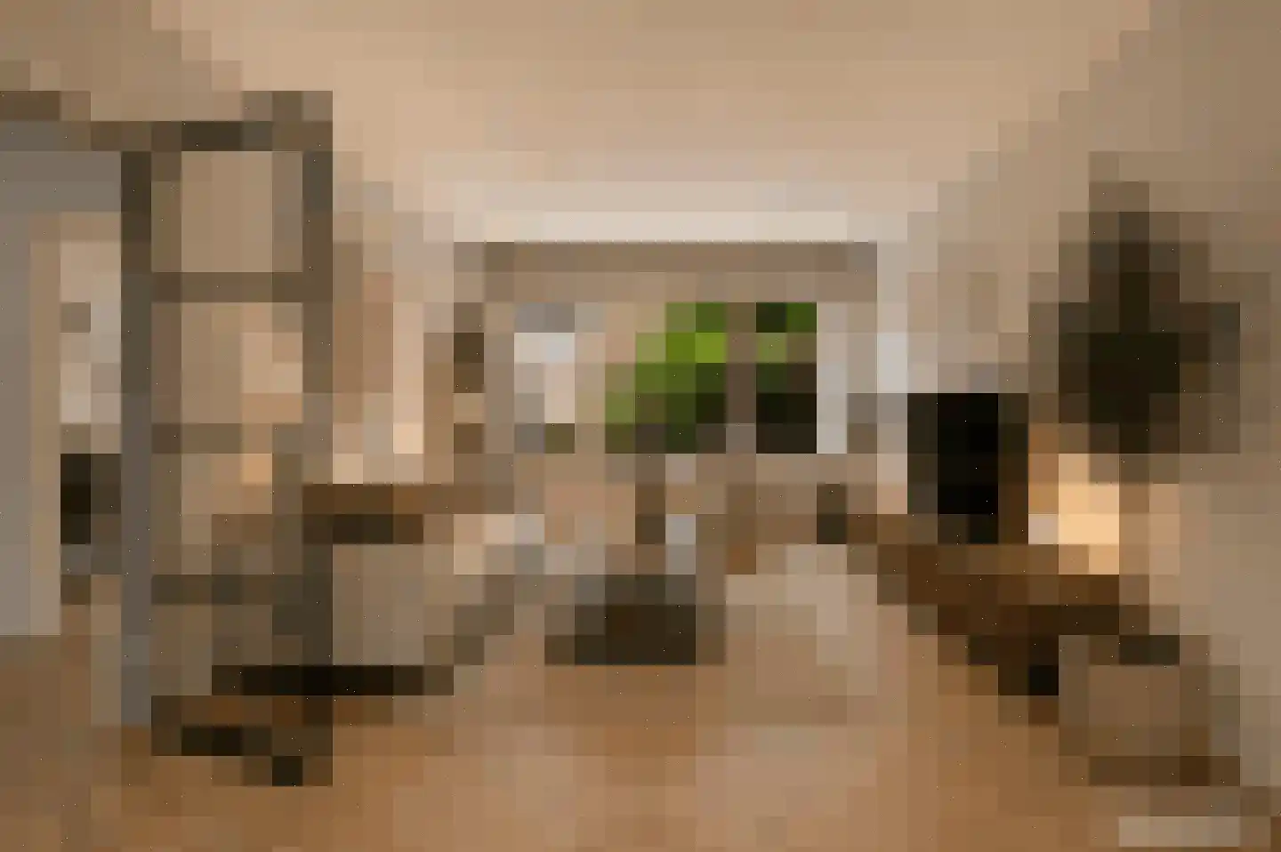 Tak van Poortvlietstraat 9 Oss thumbnail 12