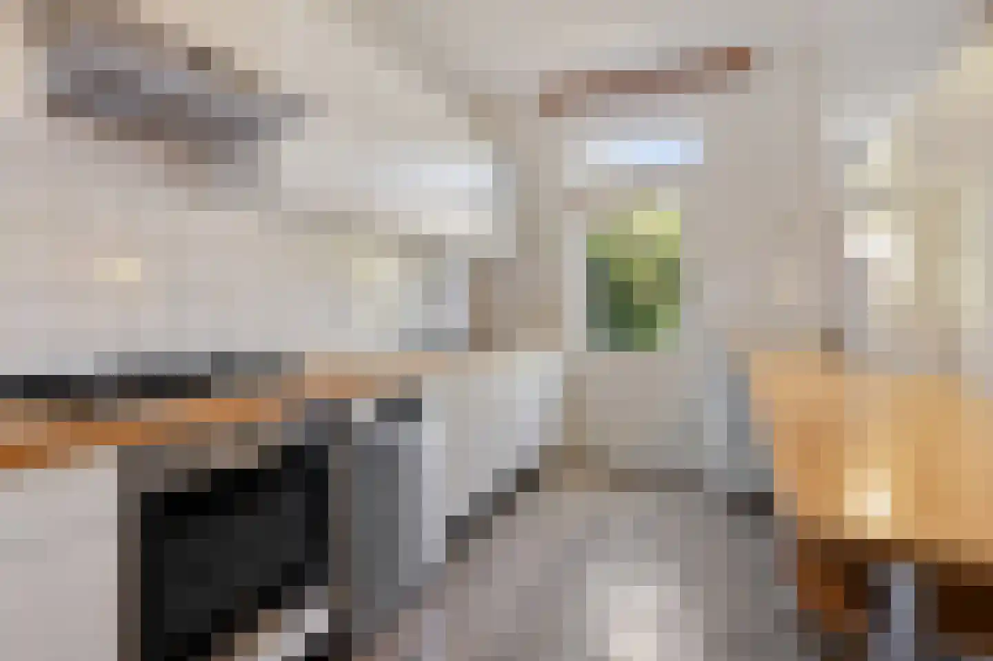 Tak van Poortvlietstraat 9 Oss thumbnail 13